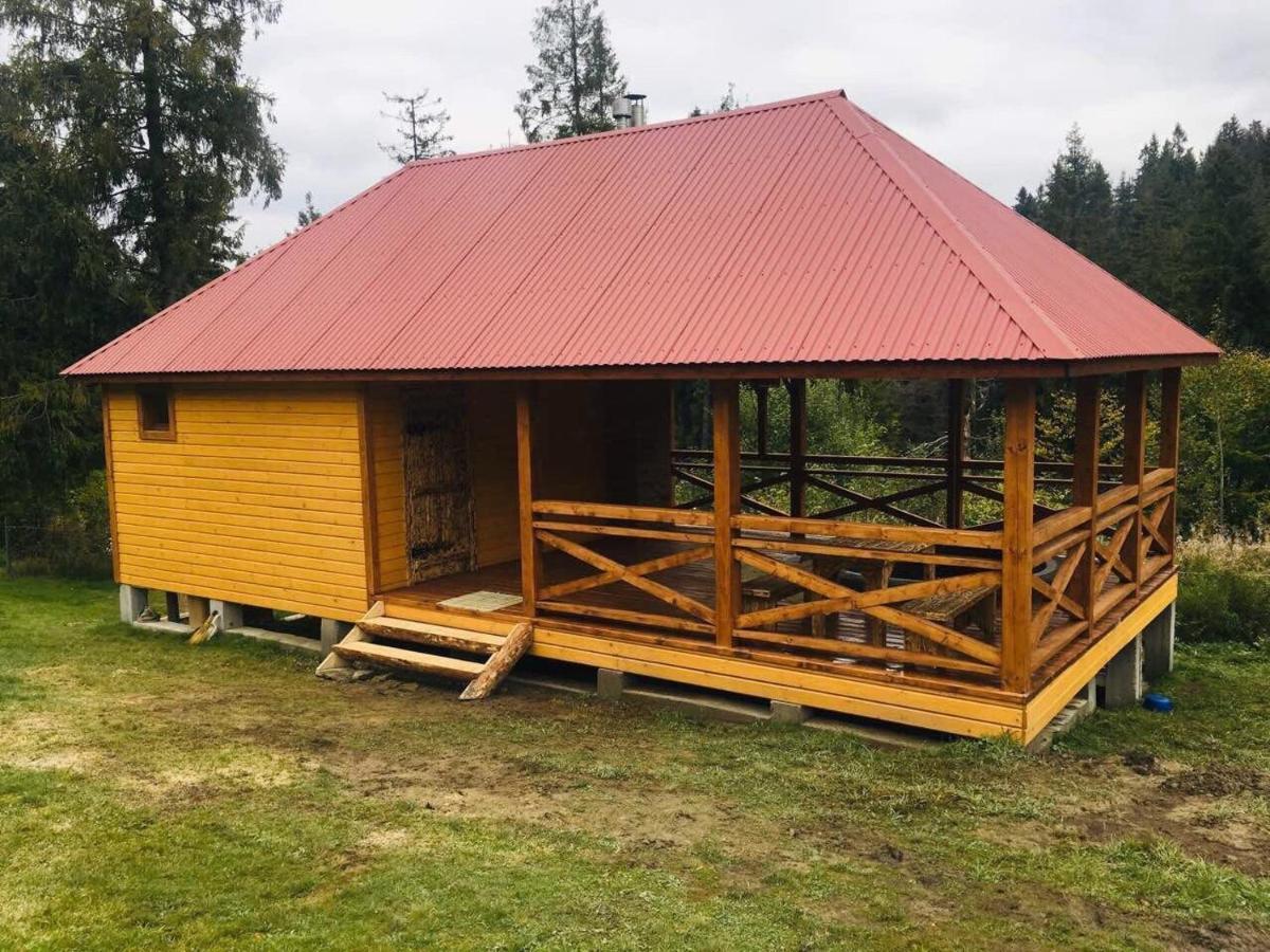 Baza Vidpochynku Ilz Villa Slavske Exteriör bild