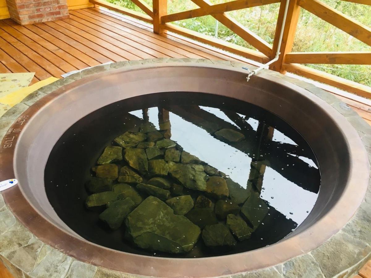 Baza Vidpochynku Ilz Villa Slavske Exteriör bild