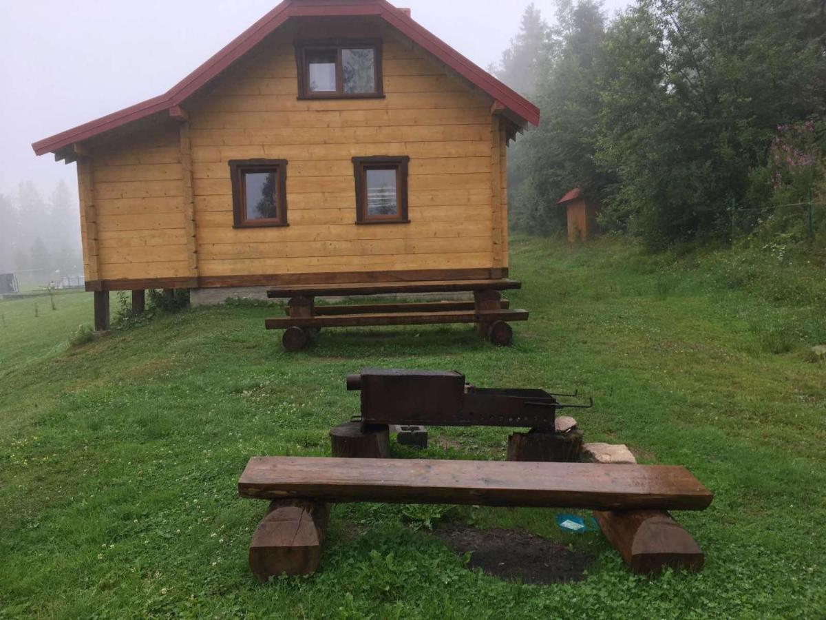 Baza Vidpochynku Ilz Villa Slavske Exteriör bild