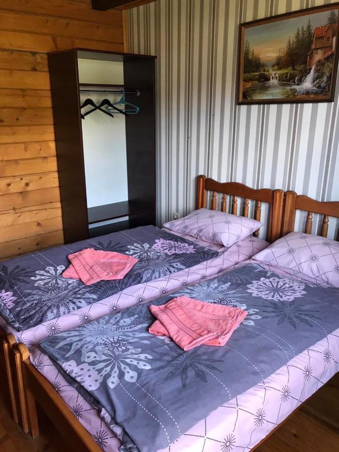 Baza Vidpochynku Ilz Villa Slavske Exteriör bild