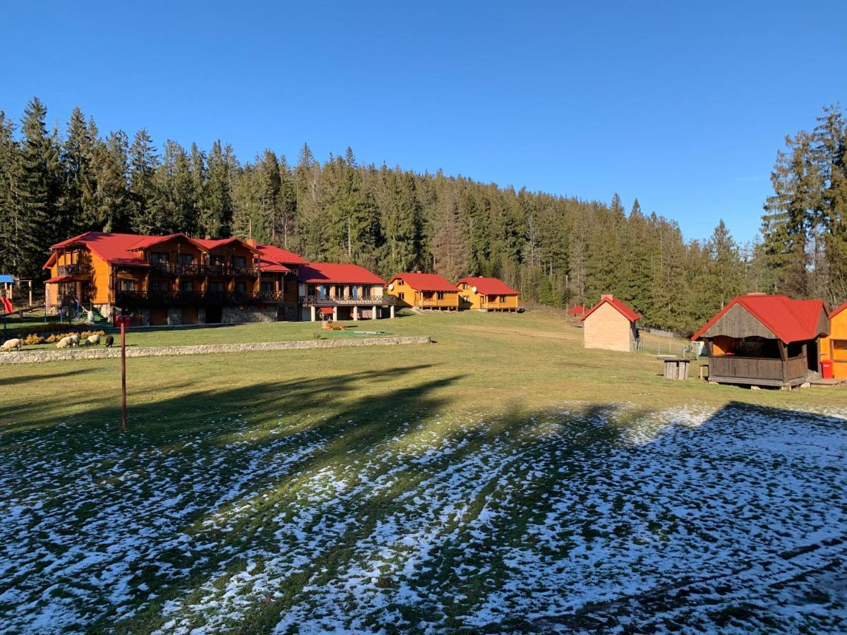 Baza Vidpochynku Ilz Villa Slavske Exteriör bild