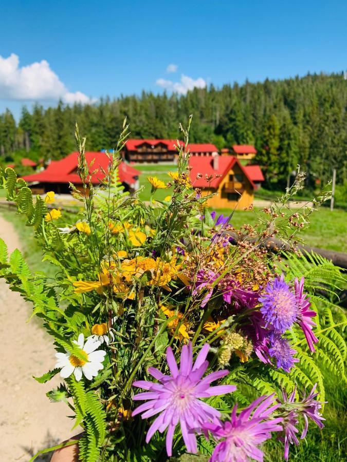 Baza Vidpochynku Ilz Villa Slavske Exteriör bild