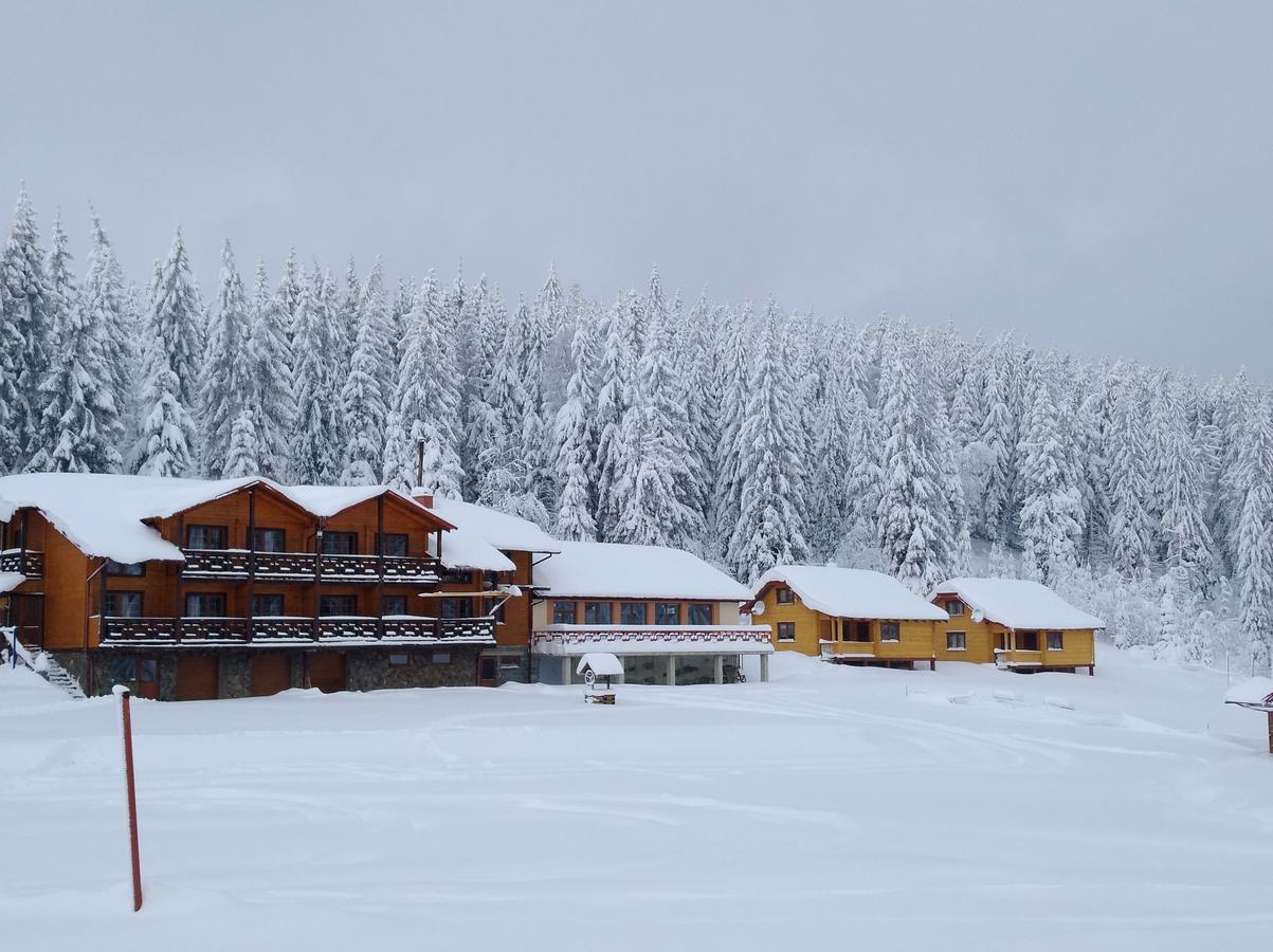 Baza Vidpochynku Ilz Villa Slavske Exteriör bild
