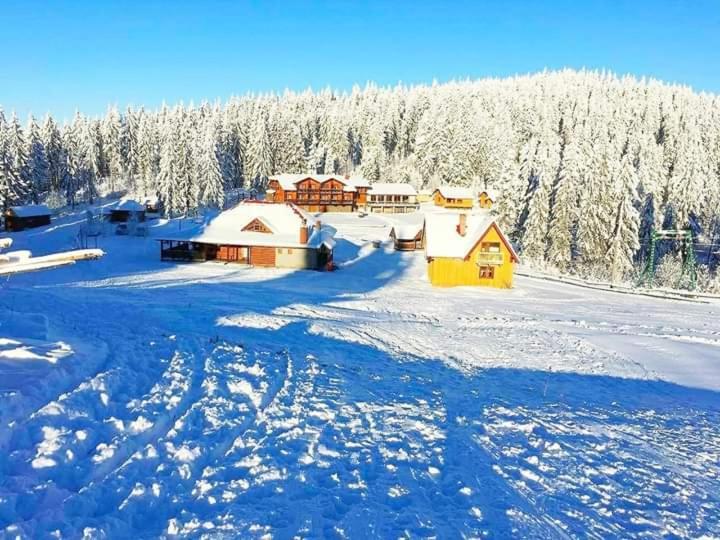 Baza Vidpochynku Ilz Villa Slavske Exteriör bild
